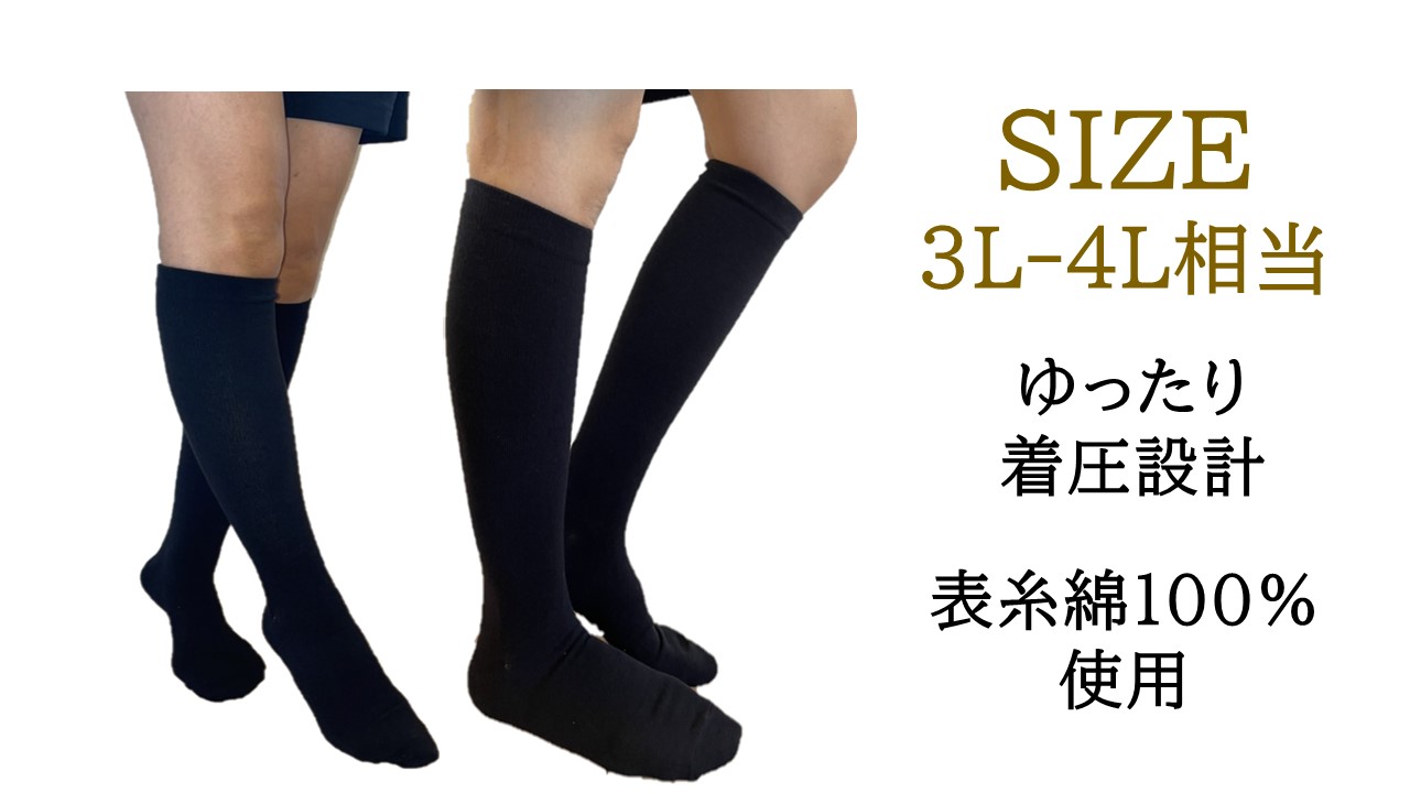 レディースソックス 